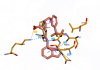 OGG1 6g3y 250712130515-41386664