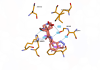 OGG1 6g3y 250713101800-f5e61ea2