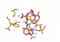 OGG1 6g3y 250713154021-150692e9