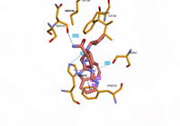 OGG1 6g3y 250808102909-9d4e13ba