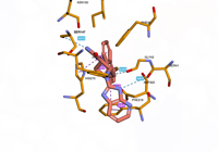 OGG1 6g3y 250808102924-cc33c53a