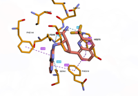 OGG1 6g3y 250808103849-4b9057db