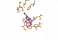 OGG1 6g3y 250808104505-131ed158