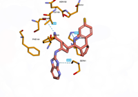 OGG1 6g3y 250808110731-af324e7f