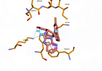 OGG1 6g3y 250808111122-a4945cf2