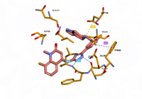 CDK4 6oqi 250806222137-3c1ae818-2