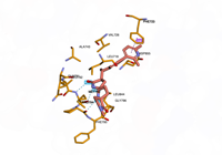 EGFR 6lud 250711191651-fdadb79c