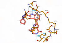 EGFR 7ukw 250805110848-e1e32807