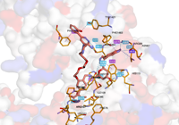 BRD4PROTAC 6hay 250714001750-7b1b6668-9