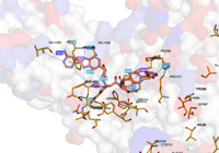 BRD4PROTAC 6hay 250715215028-71629790-5
