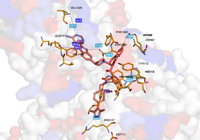 BRD4PROTAC 6hay 250715215935-548f627c-3