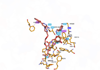 BRD4PROTAC 6hay 250716111206-47b7d021-2