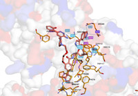 BRD4PROTAC 6hay 250716145751-047818eb-8