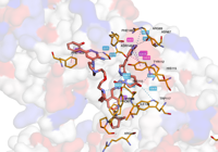 BRD4PROTAC 6hay 250717162147-d7660fe4-8