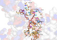 BRD4PROTAC 6hay 250718145958-a9f65884-9