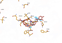 KRAS2 9bi1 250826224419-dc0bc6e7-4