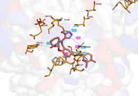 KRAS2 9bi1 250826231629-49b56dd0