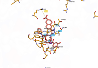 KRAS2 9bi1 250827081025-486c6518