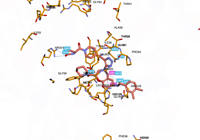 KRAS2 9bi1 250827082003-7129fe2f