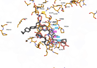 KRAS2 9bi1 250827082629-e3619086