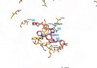 KRAS2 9bi1 250827083130-1bbcf76a