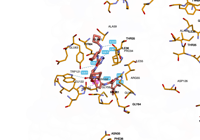 KRAS2 9bi1 250827083449-49deca63