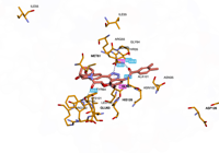 KRAS2 9bi1 250827085142-81455d00