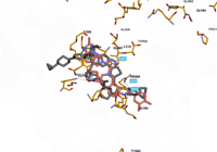 KRAS2 9bi1 250827090212-b0fd8c88