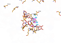 KRAS2 9bi1 250827090813-f8c96d27