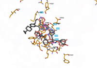 KRAS2 9bi1 250827090818-fdb06afa