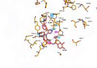 KRAS2 9bi1 250827093042-6b02034b