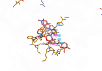 KRAS2 9bi1 250827093822-6f15512a-8