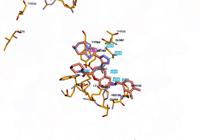 KRAS2 9bi1 250827095011-9c4b7a34-1