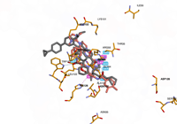 KRAS2 9bi1 250827095835-3d2e3912