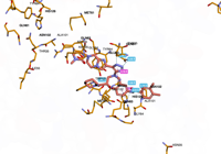 KRAS2 9bi1 250827095919-c8e74089