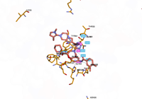 KRAS2 9bi1 250827095948-9f9bb8d5