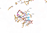 KRAS2 9bi1 250828110103-2291521a-6