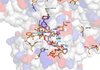 KRAS2 9bi1 250915142335-b8c1a7d4