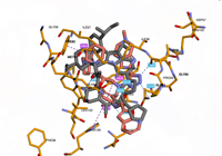 KRAS2 9bi1 250916095532-c3d1e990