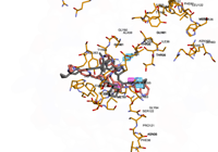 KRAS2 9bi1 250916095535-03a647bb