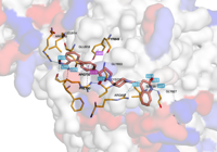 WRNHelic 8pfo 250731110537-9415ae2f