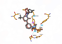 CBLb 8qtk 250729224954-dd4eb9af