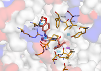 CBLb 8qtk 250730163503-b63303d3