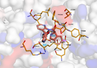 CBLb 8qtk 250730173830-94e258ea