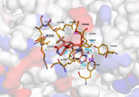 CBLb 8qtk 250730194808-beaaf446