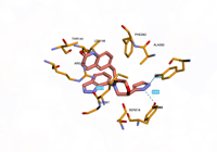 CBLb 8qtk 250801022035-589ec938