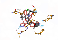 CBLb 8qtk 250801024740-f3010045