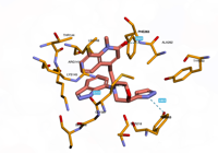 CBLb 8qtk 250801030331-98fe4e72