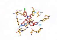 CBLb 8qtk 250801034949-d8fb2586