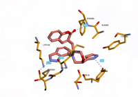 CBLb 8qtk 250801035114-dc22eb89